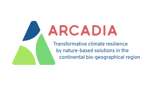 Logo for ARCADIA