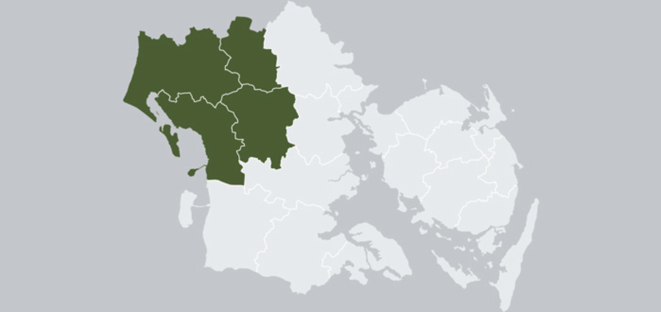 Sundhedsråd Sydvestjylland