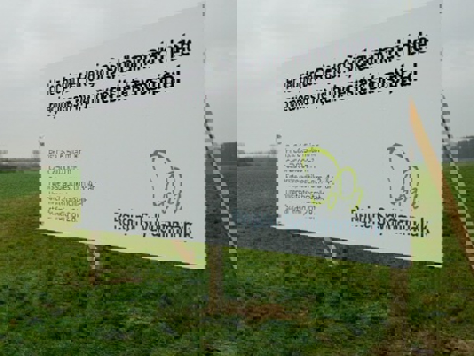 Byggegrunden bag Syddansk Universitet skal i 2011 være fyldt med gravemaskiner, men inden da får arkæologerne frit spil. Foto: Jørgen Diswal