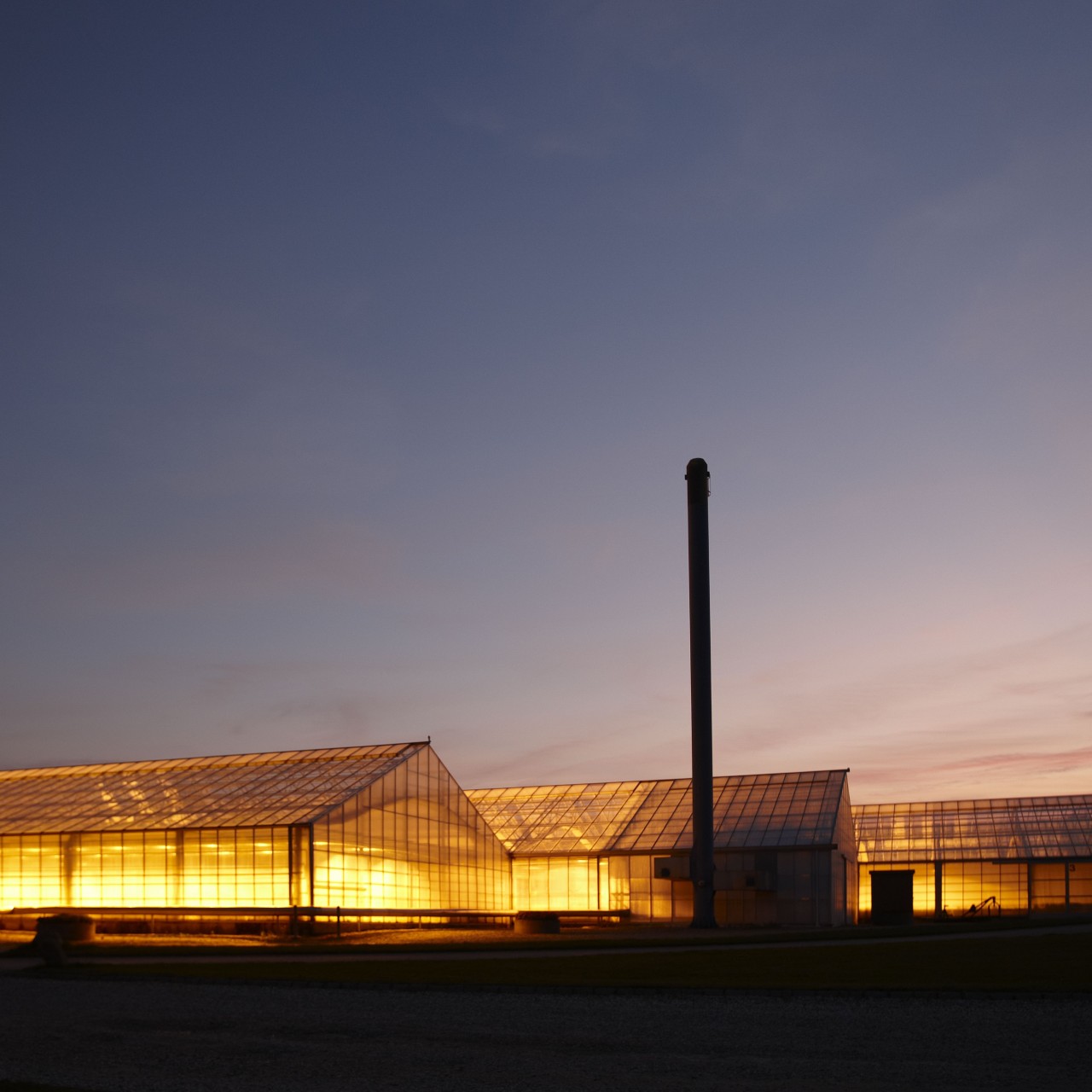 Foto af drivhuse der lyser op i mørket på et gartneri. 