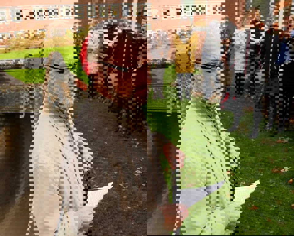 En afstand på 3 km gør et tæt samarbejde svært, men nu får vi  mulighed for at optimere vores indsats overfor borgerne, sagde  centerchef på Center for Rehabilitering og Specialrådgivning i  Odense, Bent Kjær. 