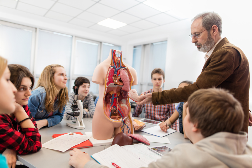billedet viser en lærer der underviser elever i kroppen
