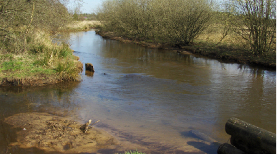 Region Syddanmark vil fortsætte undersøgelserne af, hvordan forureningen spreder sig omkring det tidligere Grindstedværk.