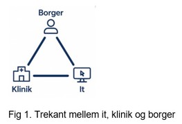 Borger & Patient figur1