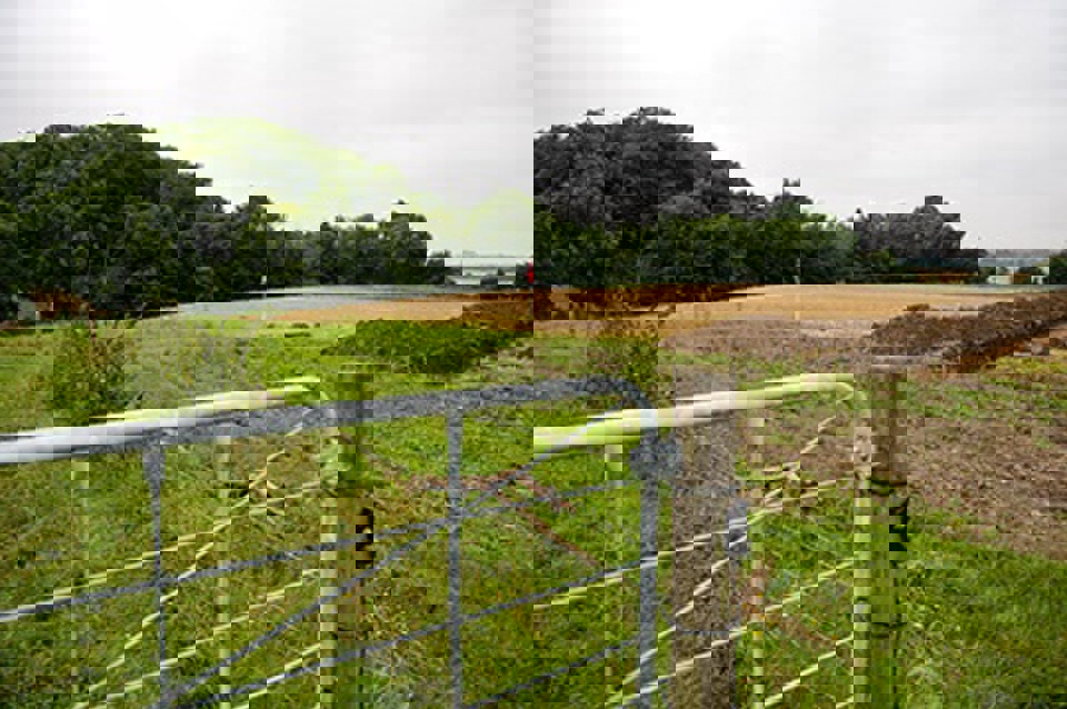 Her skal de nye boliger ligge.