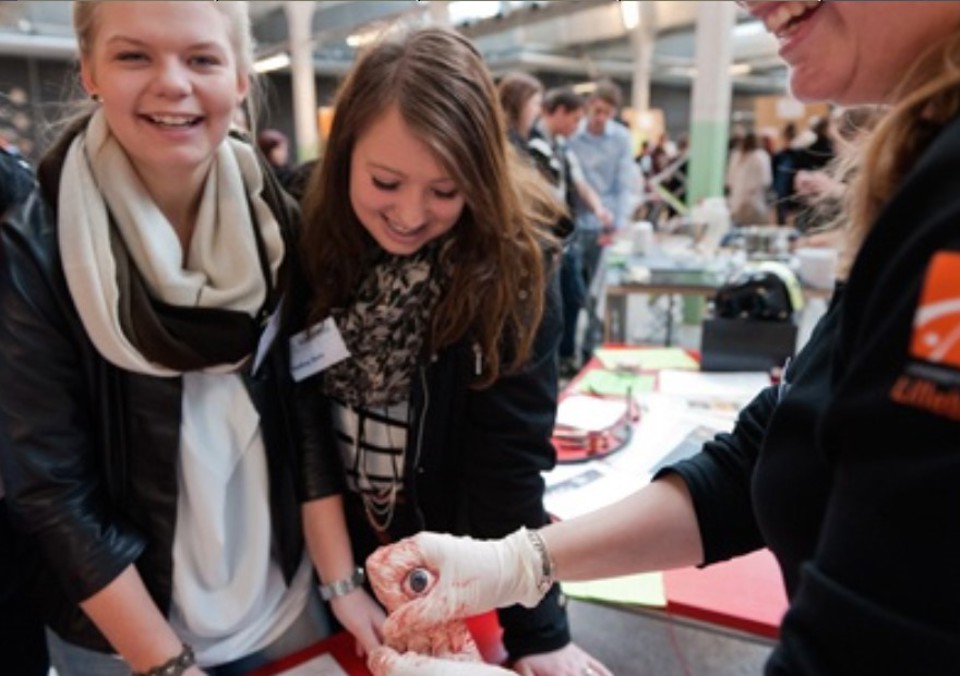 Foto fra konferencen