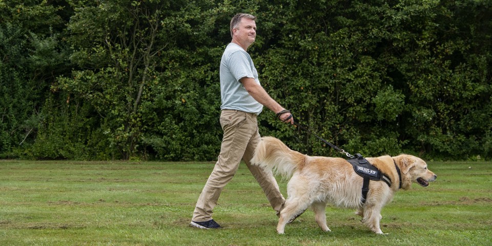 Dennis lufter labrador