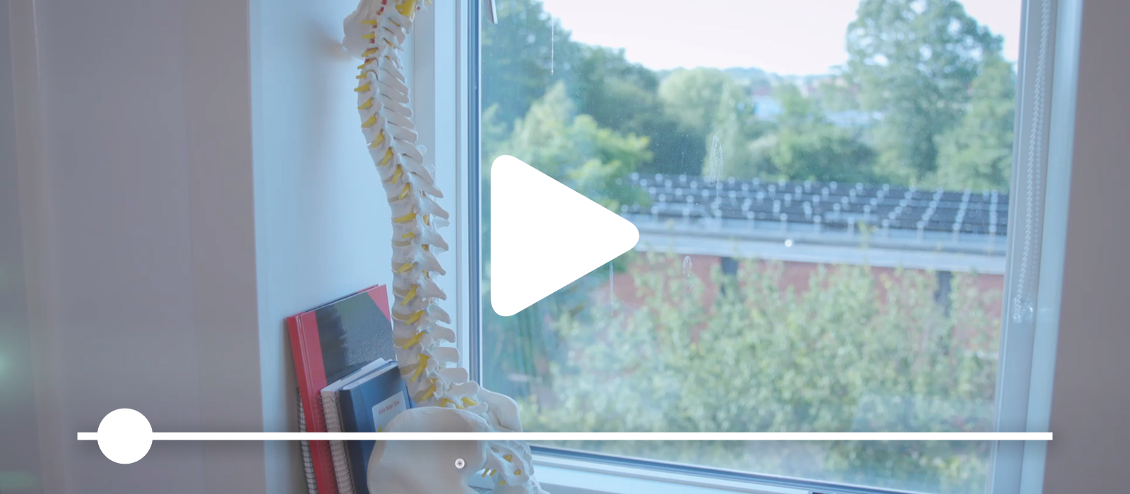 Video: Værd at vide om rygsmerter