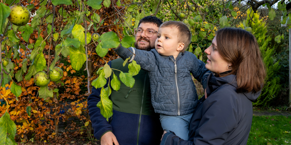 Jens ser på æbletræet i haven sammen med sin far og mor