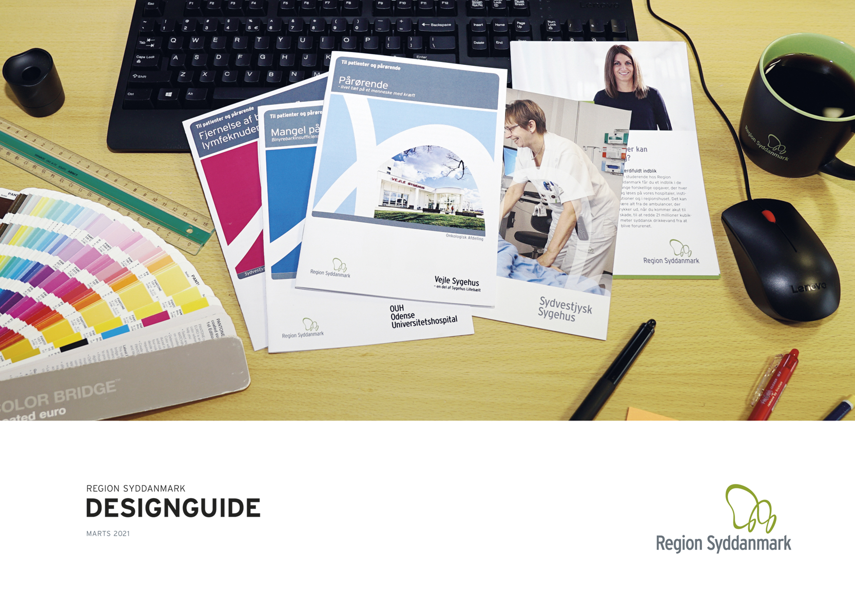 Region Syddanmarks designguide