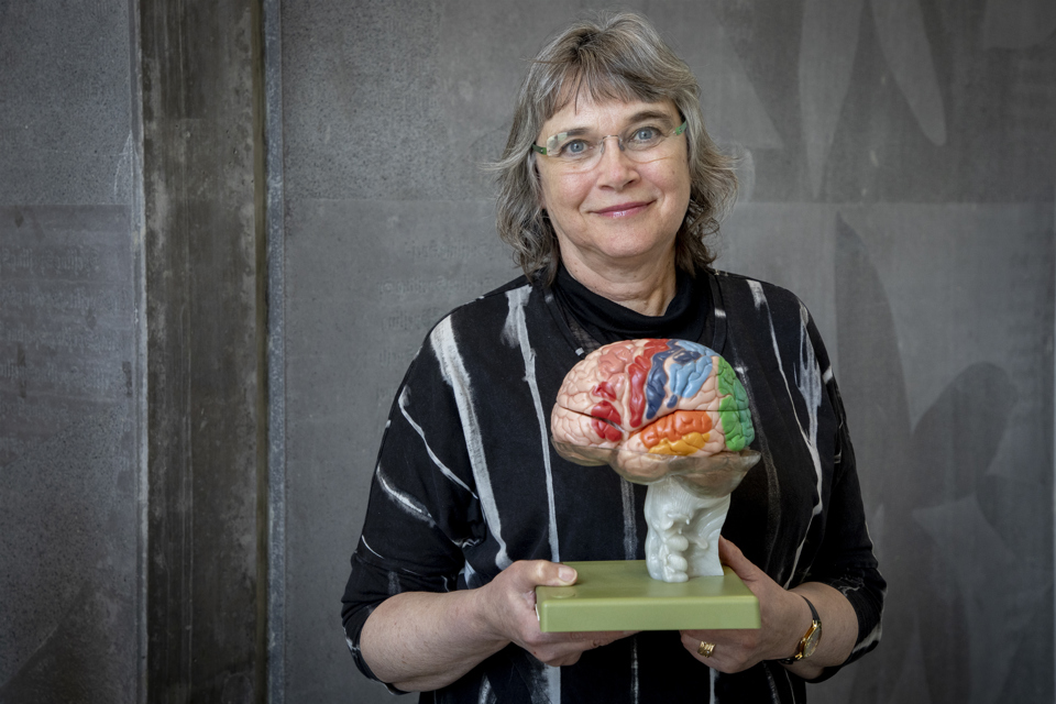 Audiologopæd Ragnhild Engen med model af en hjerne. 