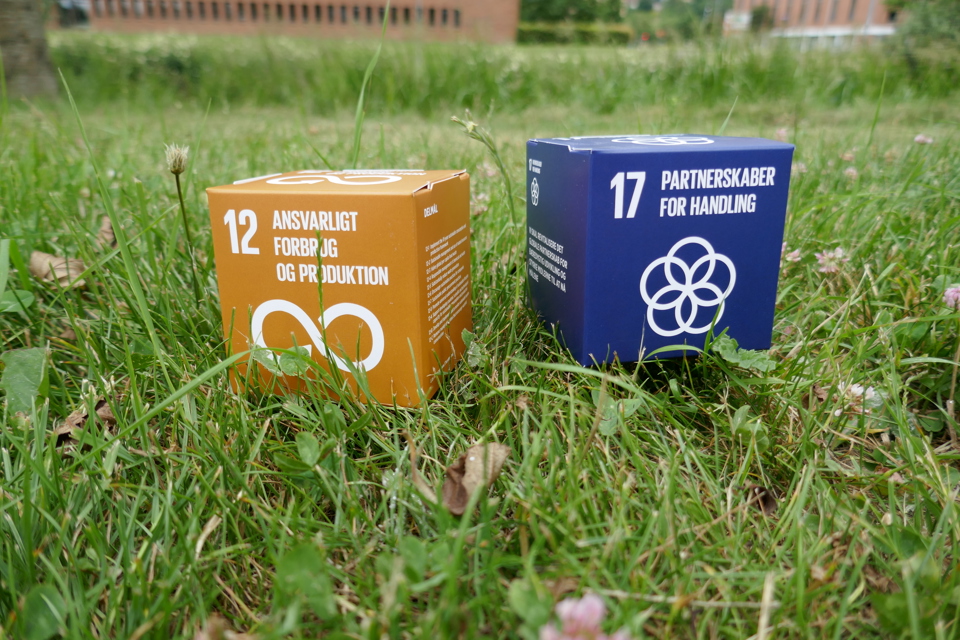 FN's verdensmål nr. 12 og 17.